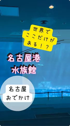 なのは｜名古屋おでかけ女子のTikTok投稿