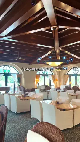 mikimisakiのTikTok投稿