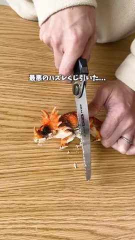 がん | 全力パパの楽しい子育てのTikTok投稿