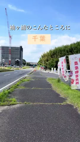 ゆき姉｜60代、千葉・内房ひとり旅グルメのTikTok投稿