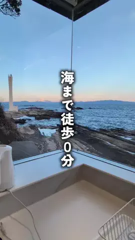 KantoInucafeのTikTok投稿