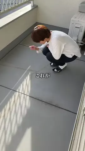 ちよまるこのTikTok投稿