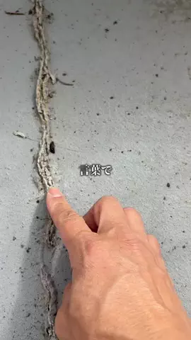 ちよまるこのTikTok投稿