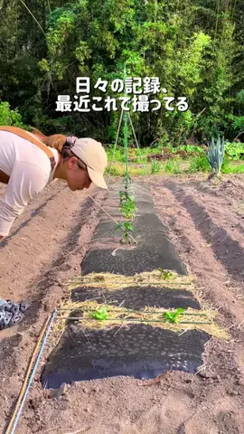 えーちゃんのTikTok投稿