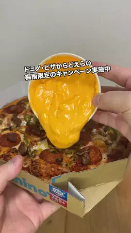 ハシダのTikTok投稿