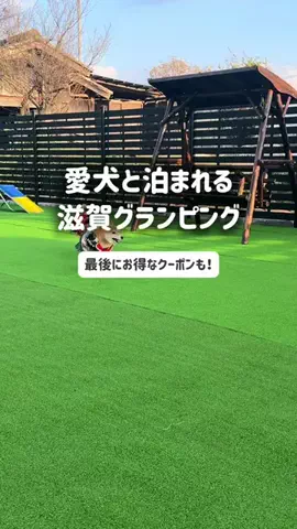 パパに恋するはるちゃんのTikTok投稿