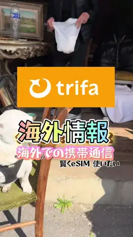 ゆめし🩷韓国中国情報局のTikTok投稿