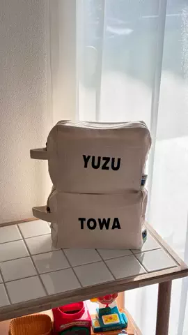 HannのTikTok投稿