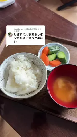 飯の友のTikTok投稿