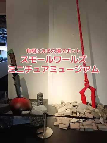 地域猫のTikTok投稿