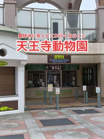 地域猫のTikTok投稿