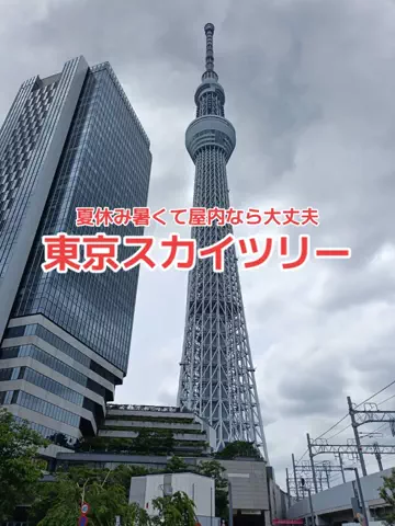 地域猫のTikTok投稿