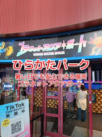 地域猫のTikTok投稿