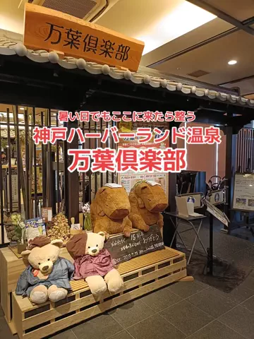 地域猫のTikTok投稿