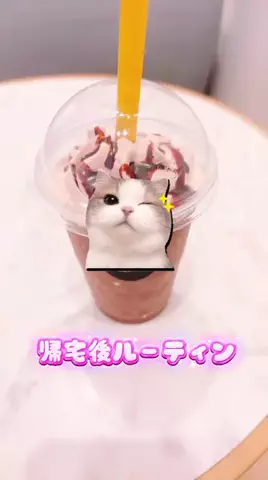 Aoyama hikariのTikTok投稿
