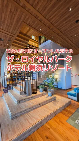地域猫のTikTok投稿