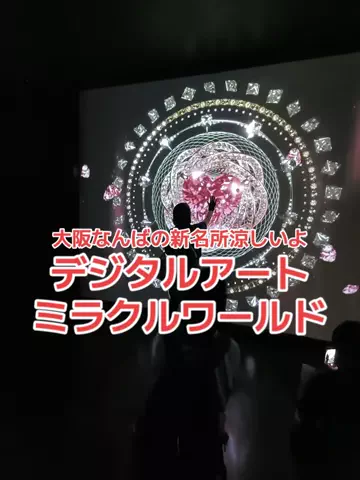 地域猫のTikTok投稿