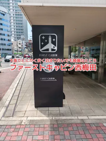 地域猫のTikTok投稿