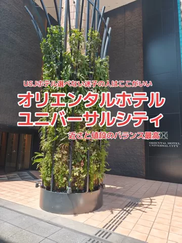 地域猫のTikTok投稿