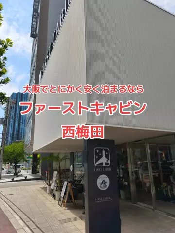 地域猫のTikTok投稿