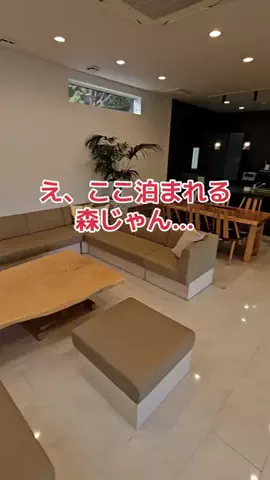 地域猫のTikTok投稿