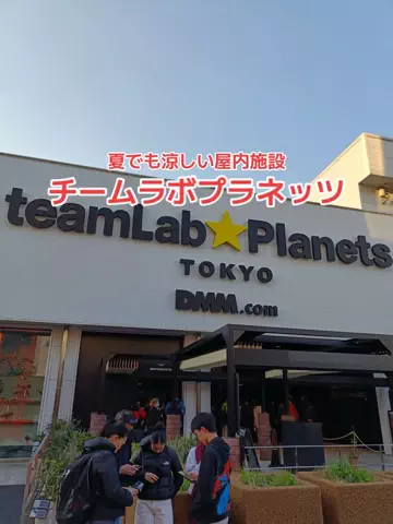 地域猫のTikTok投稿