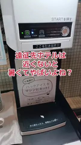 地域猫のTikTok投稿