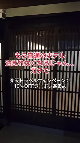 地域猫のTikTok投稿