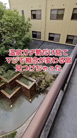 地域猫のTikTok投稿