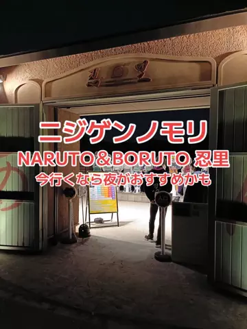 地域猫のTikTok投稿