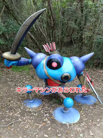 地域猫のTikTok投稿