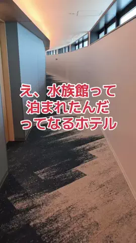 地域猫のTikTok投稿