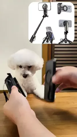 るるちゃんねるのTikTok投稿