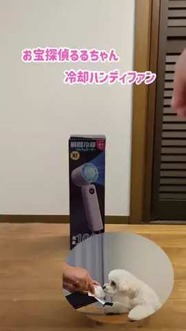 るるちゃんねるのTikTok投稿