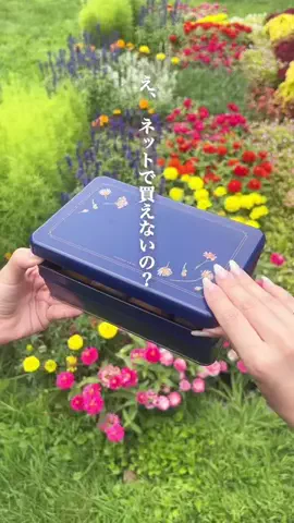 こんぽたのTikTok投稿