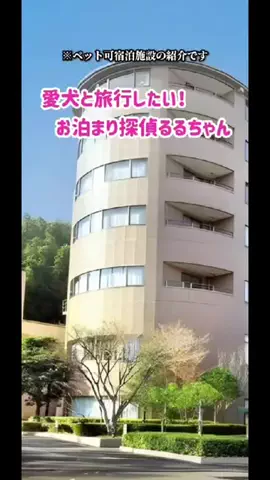 るるちゃんねるのTikTok投稿