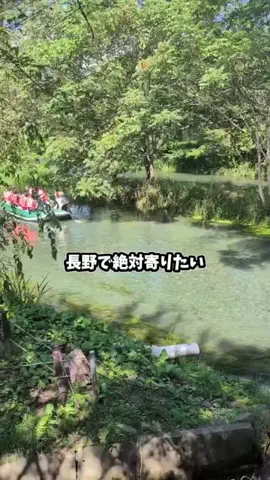 のぶ(スーパー旅行系クリエイター)のTikTok投稿