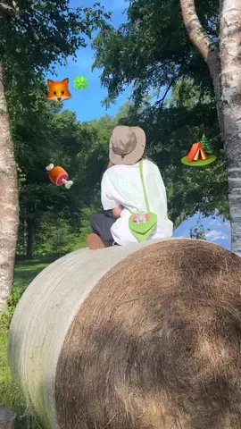 こんぽたのTikTok投稿