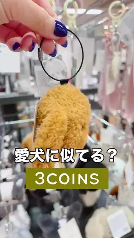 3coins_hiiのTikTok投稿