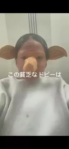 とんのTikTok投稿