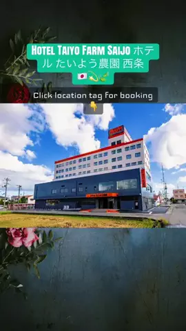 💕🇯🇵サヌ🇱🇰💕のTikTok投稿