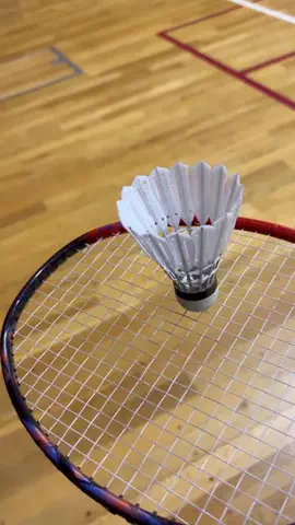 モリイズミ🧸🏸のTikTok投稿