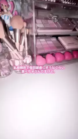 デブじゃなくて栄養過多のTikTok投稿