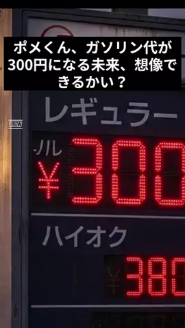 博士とポメの政経ラボのTikTok投稿