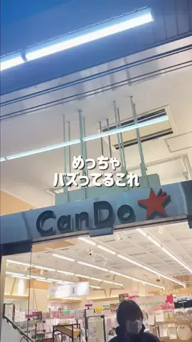 しいちゃまのTikTok投稿