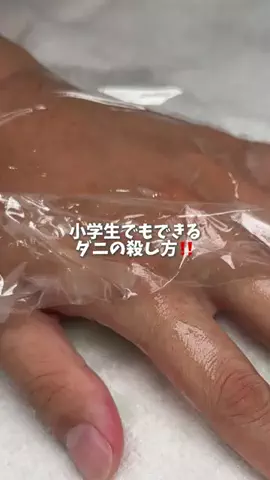 しゅんのTikTok投稿
