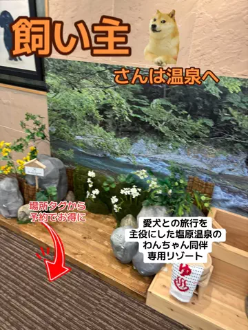 ポイけしき♨️宿図鑑のTikTok投稿