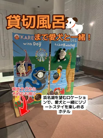 ポイけしき♨️宿図鑑のTikTok投稿
