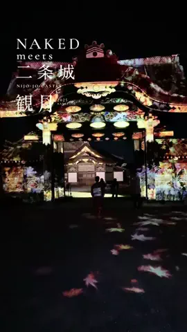 アヤコのTikTok PR投稿：【PR]【京都開催中】 京都二条城で開催中 待望のライトア…