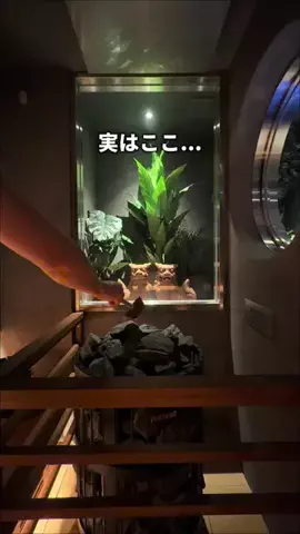 サウナコレクション【サウコレ！】のTikTok投稿